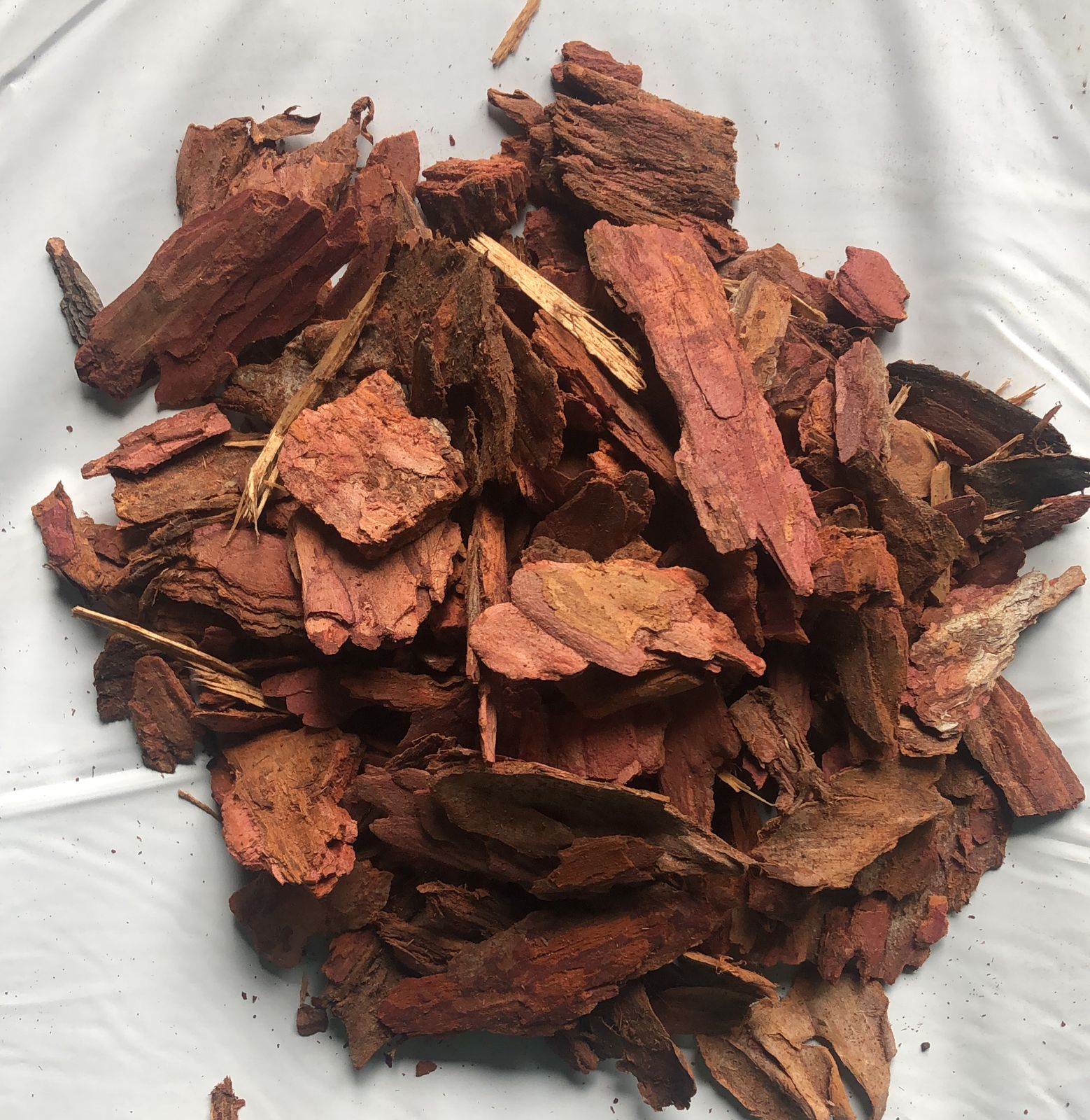 Лиственница 2-6 см